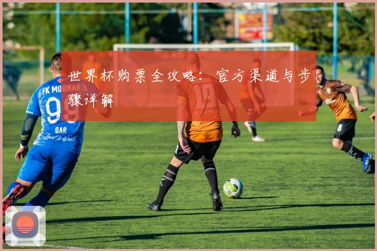 世界杯购票全攻略：官方渠道与步骤详解