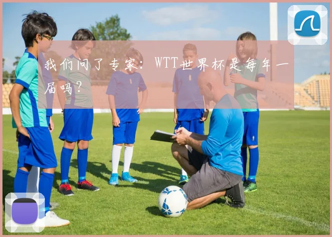 我们问了专家：WTT世界杯是每年一届吗？