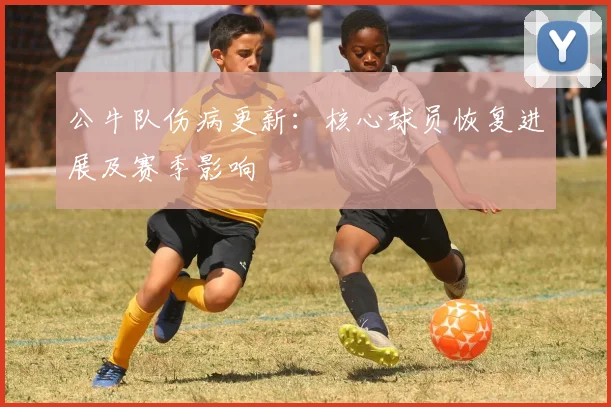 公牛队伤病更新：核心球员恢复进展及赛季影响