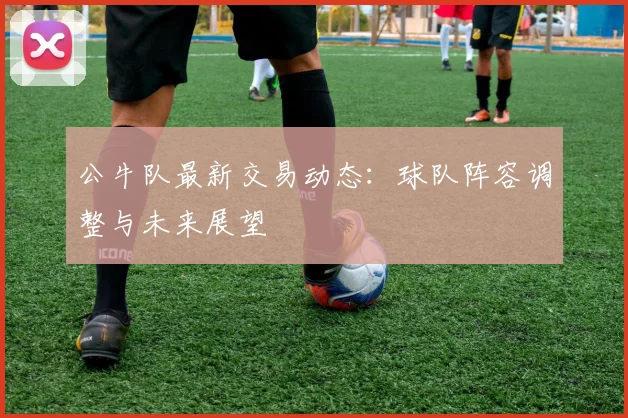 公牛队最新交易动态：球队阵容调整与未来展望